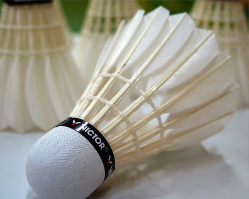 Sport et Badminton